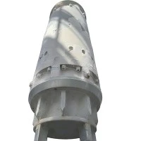 Lng in Tank Pump