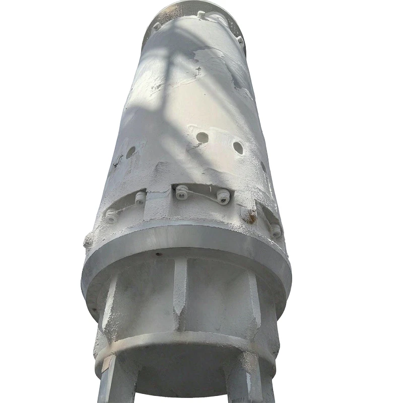 Lng in Tank Pump