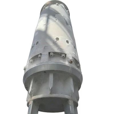 Lng in Tank Pump